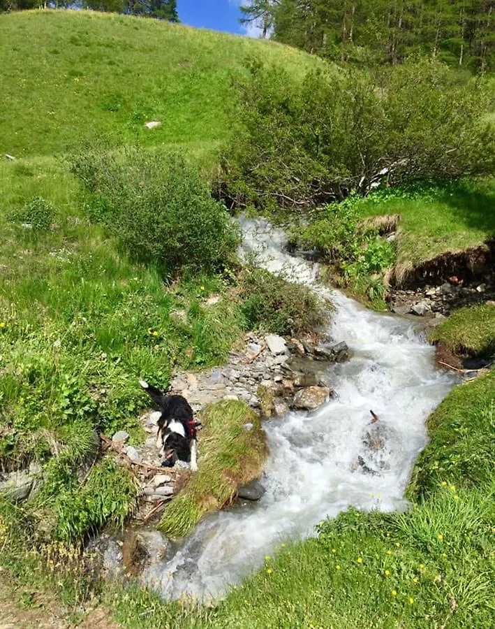Angius Dg Apartments Livigno 0*,  Italia