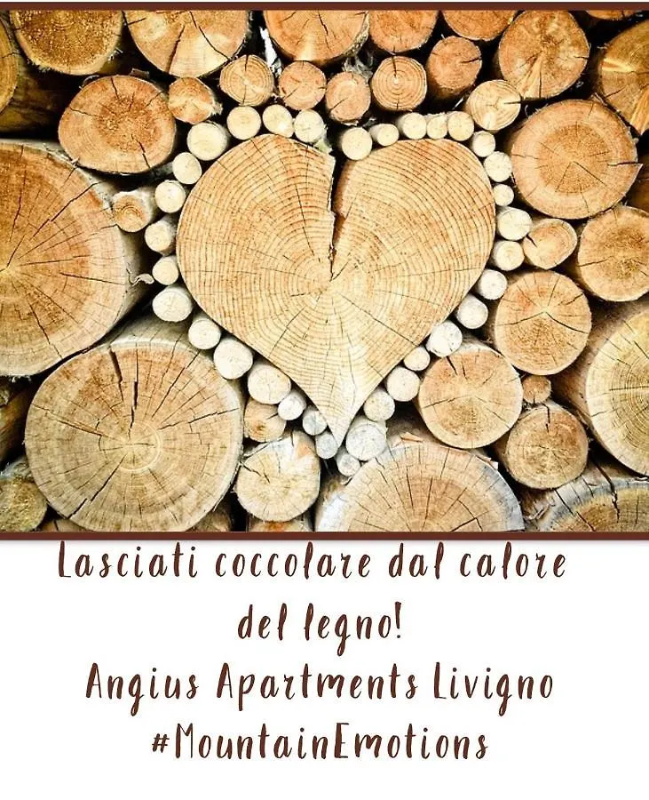 Angius Dg Apartments Livigno Italia